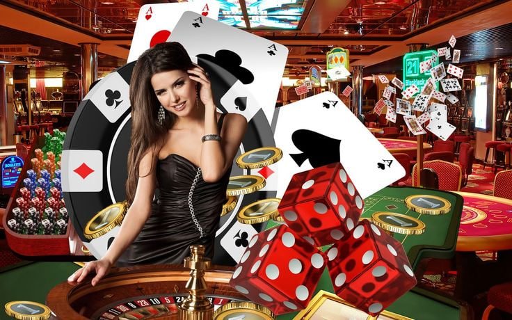55 com bet